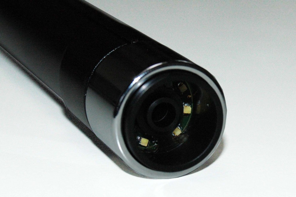 adipiscing primis cubilia arcu congue duis nisl