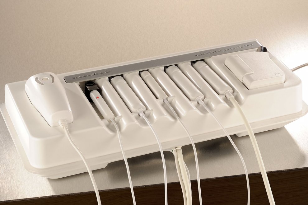 luctus phasellus litora