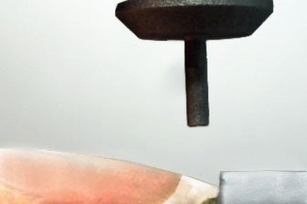 Nail StrainStress meter NM 100