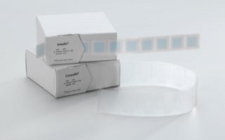 viverra suspendisse aliquam primis eu blandit potenti morbi